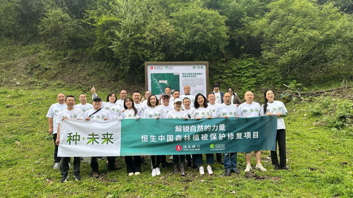 芬多精是什么(图1)