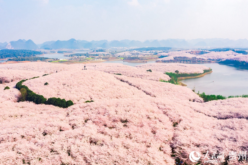 打造乡村旅游“好风景”奏响振兴发展“新乐章”(图1)