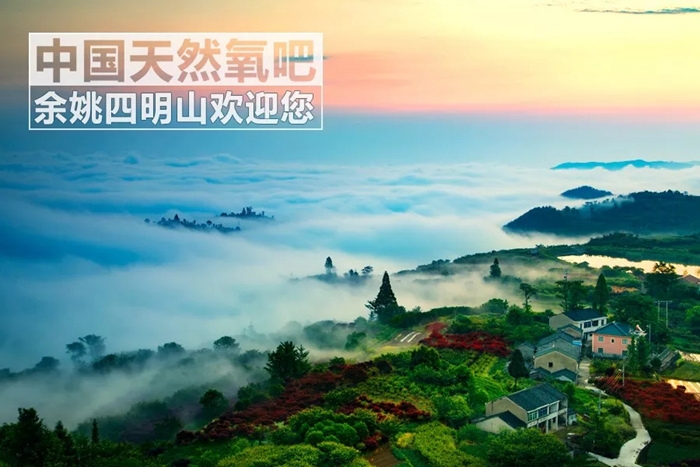 森林康养对不同人群的效果有何差异？(图1)