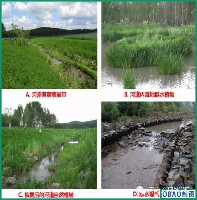 河岸带景观改造方案(图1)